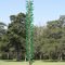 Bottle Tree Round Top