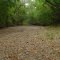 Cummins Creek Dry Bed