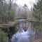 Little Eau Claire at Pheasant Pines