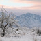View from SaddleBrooke Blvd - Jan 2007