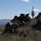 Tortolita Mountains