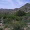 Goat Corral