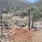 East Gate - Wild Mustang Trail