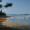 Isleboro Maine