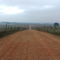 Lonely Road
