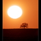Extream Sunset