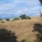 Hills by Willow Creek