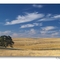The way it used to be. Sacramento County, California