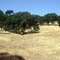 Latrobe Road, Latrobe, California