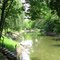 Hidden Tranquility