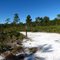White Sand Trail - Pretty Bright In The Sun