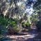 Trail Along Lake Lizzie