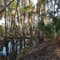 Big Bend Canal. Lonesome Camp.