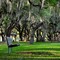 Bench at Park