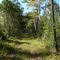 Hidden Pond Trail, marker 21, southern part