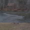 Fish trap in the Toccoa River outside Blue Ridge, GA.