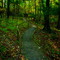 Pivot Rock Trail