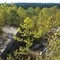 Lookout over old quarries