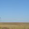 Little Windmill on the Prarie