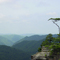 Overlook