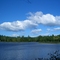 Beaver Pond