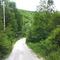 Along Maple Hill Run