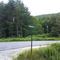 Shotgun Gulch