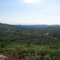 First ledge on Mount Cutler looking southeast down Saco river basin