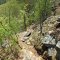 Steep!