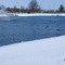 Winter's Day at Sikeston Complex