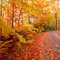 Smokey Mountains Road