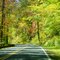 Nantahala National Forest