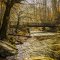 Crossing Along Deep Creek Trail