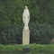 Mary ..... at Mercy Medical Center . Springfield, Ohio