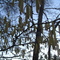River Forks Park II