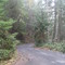 Morning Walk