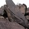 Ironwood Forest National Monument  #001