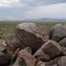 Ironwood Forest National Monument  #007