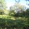 My Property in Avra Valley Arizona