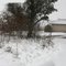 Snow in Texas
