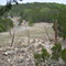 Ranch Road 336 North Bound From Johnny and Susie's "Slice of Texas"
