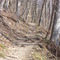 the way up