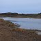 Judy Lake