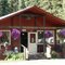 Campground in der Wildniss