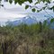 Pioneer Peak
