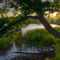 Sunset at Gibbs Lake County Park, near Cookesville WI