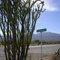 Borrego Springs Rd & Hwy 78, 12/27/05