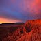 Join me here in March: Anza-Borrego