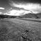 Desert Road