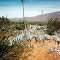 ANZA-BORREGO DESERT STATE PARK, CALIFORNIA, 35MM